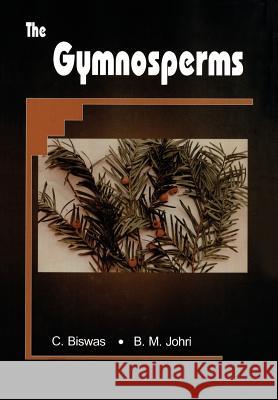 The Gymnosperms Chhaya Biswas B. M. Johri 9783662131664 Springer - książka
