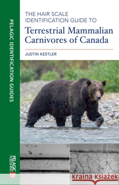 The Hair Scale Identification Guide to Terrestrial Mammalian Carnivores of Canada Justin Kestler 9781784272821 Pelagic Publishing Ltd - książka