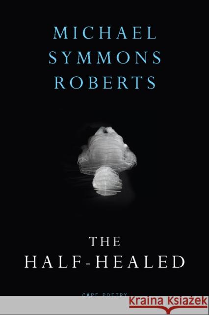 The Half Healed Michael Symmons Roberts 9780224085670 Vintage Publishing - książka