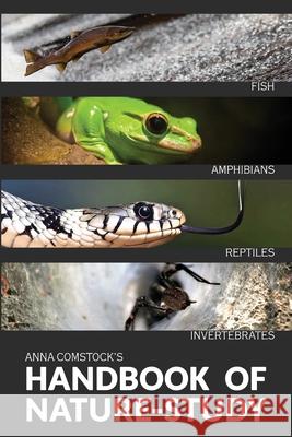 The Handbook Of Nature Study in Color - Fish, Reptiles, Amphibians, Invertebrates Anna Comstock 9781922348395 Living Book Press - książka