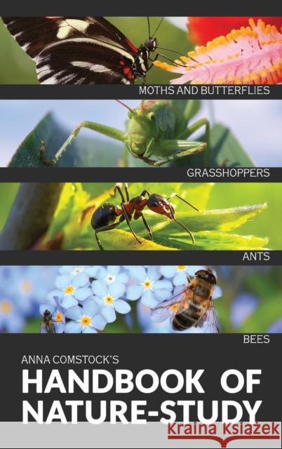 The Handbook Of Nature Study in Color - Insects Anna B. Comstock 9781922348623 Living Book Press - książka