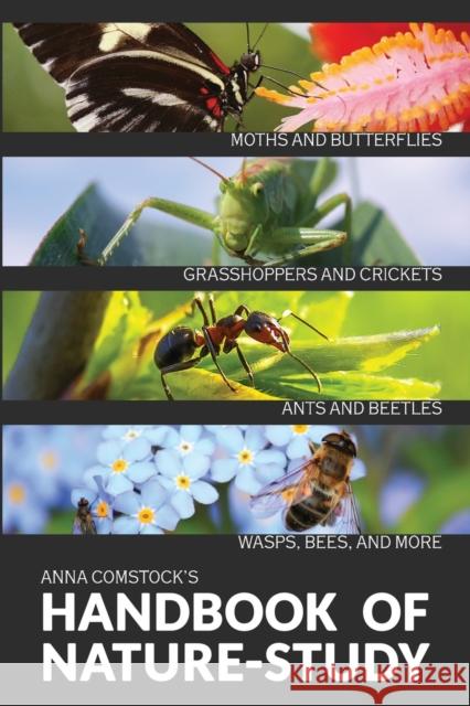 The Handbook Of Nature Study in Color - Insects Anna B Comstock 9781922348630 Living Book Press - książka