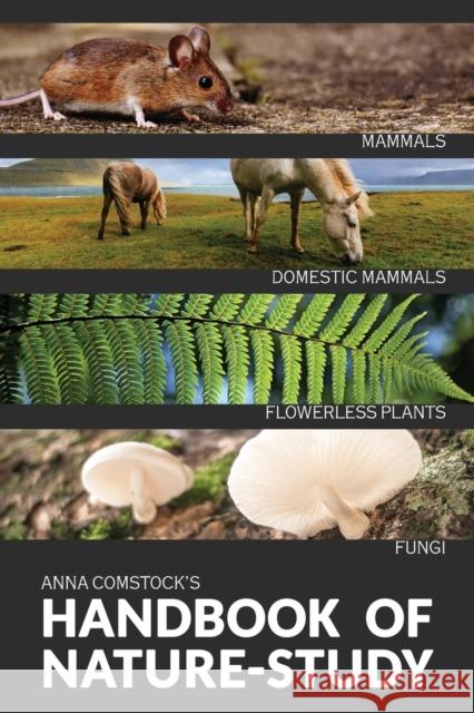 The Handbook Of Nature Study in Color - Mammals and Flowerless Plants Amma Comstock 9781922348654 Living Book Press - książka