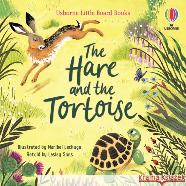 The Hare and the Tortoise LESLEY SIMS 9781474999618 Usborne Publishing Ltd - książka