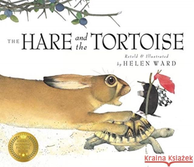 The Hare and the Tortoise Helen Ward   9781787419414 Templar Publishing - książka