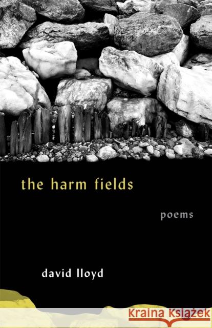 The Harm Fields: Poems David Lloyd 9780820362625 University of Georgia Press - książka