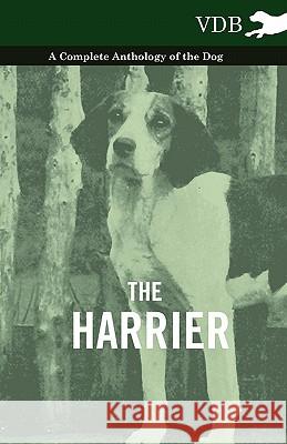 The Harrier - A Complete Anthology of the Dog Various 9781445526195 Vintage Dog Books - książka