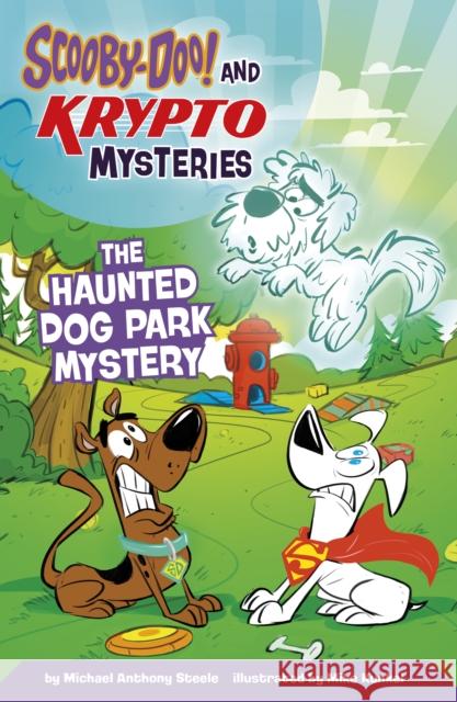 The Haunted Dog Park Mystery Michael  Anthony Steele 9781398257061 Capstone Global Library Ltd - książka