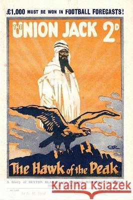 The Hawk of the Peak G H Teed   9781998819096 Stillwoods - książka