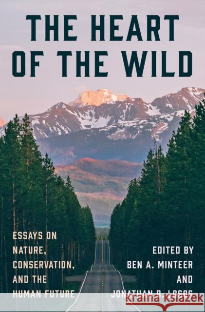 The Heart of the Wild: Essays on Nature, Conservation, and the Human Future  9780691228624 Princeton University Press - książka