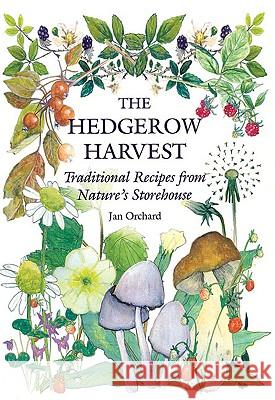 The Hedgerow Harvest: Traditional Recipes from Nature's Storehouse Jan Orchard 9781847970404 THE CROWOOD PRESS LTD - książka