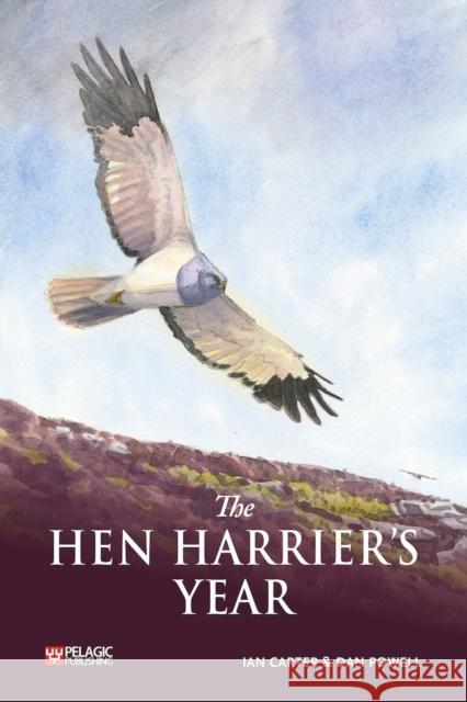 The Hen Harrier's Year Ian Carter 9781784273859 Pelagic Publishing - książka