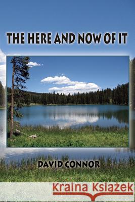 The Here and Now of It David Connor (Hunter College City University of New York USA) 9781421837895 Blue Light Press - książka