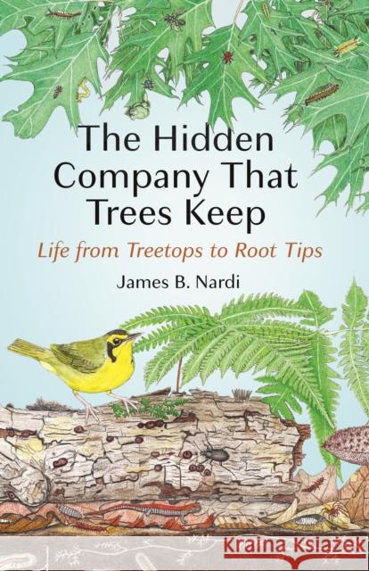 The Hidden Company That Trees Keep: Life from Treetops to Root Tips James B. Nardi 9780691237978 Princeton University Press - książka