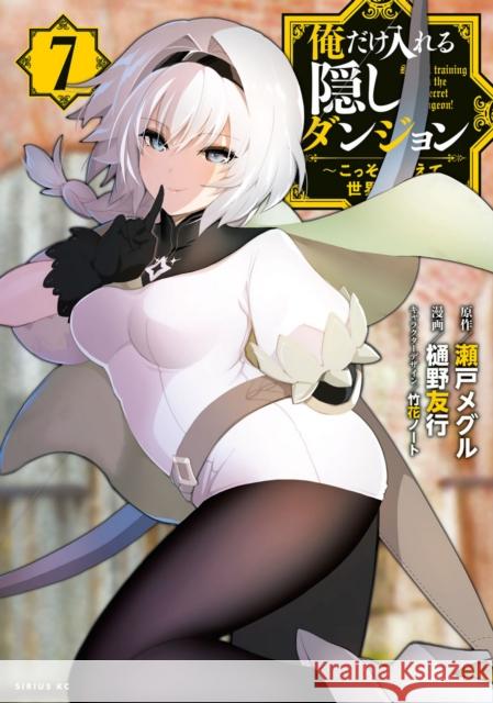 The Hidden Dungeon Only I Can Enter (Light Novel) Vol. 7 Meguru Seto 9781638583653 Airship - książka