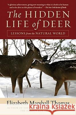 The Hidden Life of Deer: Lessons from the Natural World Elizabeth Marshall Thomas 9780061792113 Harper Perennial - książka
