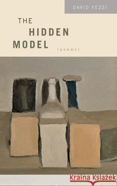 The Hidden Model Yezzi, David 9780810151451 Triquarterly Books - książka