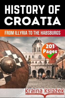 The History of Croatia de Haan, Auke 9783565075072 epubli - książka