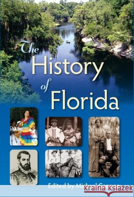 The History of Florida Michael Gannon 9780813064017 University Press of Florida - książka