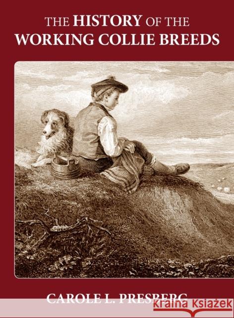 The History of the Working Collie Breeds Carole L Presberg 9781644460115 Rowe Publishing - książka