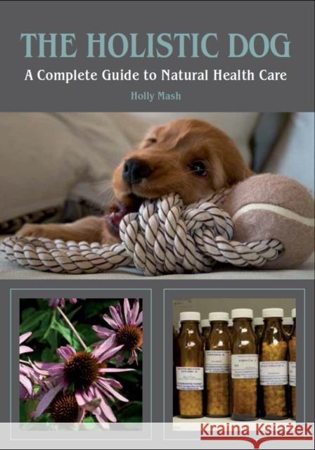 The Holistic Dog: A Complete Guide to Natural Health Care Mash, Holly 9781847972675  - książka