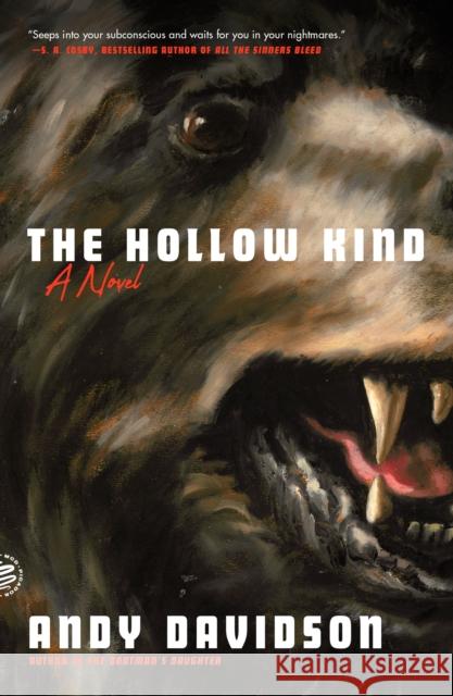 The Hollow Kind Andy Davidson 9781250893529 Picador - książka