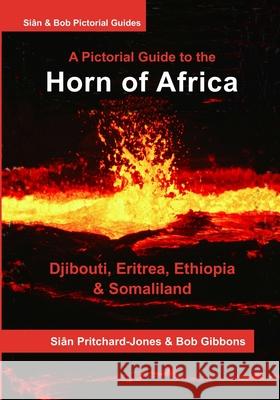 The Horn of Africa: A Pictorial Guide to Djibouti, Eritrea, Ethiopia and Somaliland Bob Gibbons, Sian Pritchard-Jones 9781530282920 Createspace Independent Publishing Platform - książka