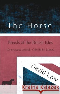 The Horse - Breeds of the British Isles (Domesticated Animals of the British Islands) David Low 9781473335950 Read Books - książka