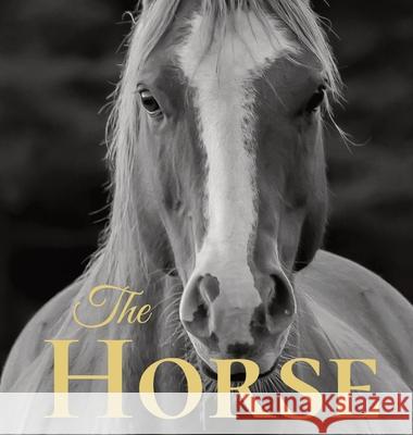 The Horse: Coffee Table Book With Quotations About The Magnificent Equines. Jacqueline Melgren 9789189452947 Adisan Publishing AB - książka