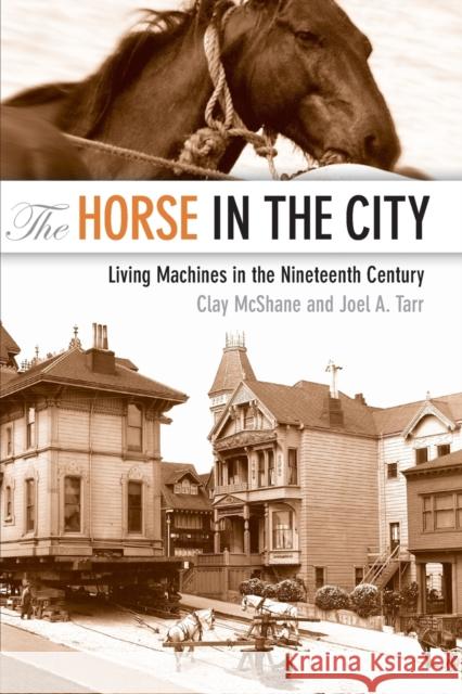 The Horse in the City: Living Machines in the Nineteenth Century McShane, Clay 9781421400433  - książka