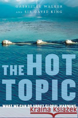 The Hot Topic: What We Can Do about Global Warming Gabrielle Walker David King 9780156033183 Harvest Books - książka