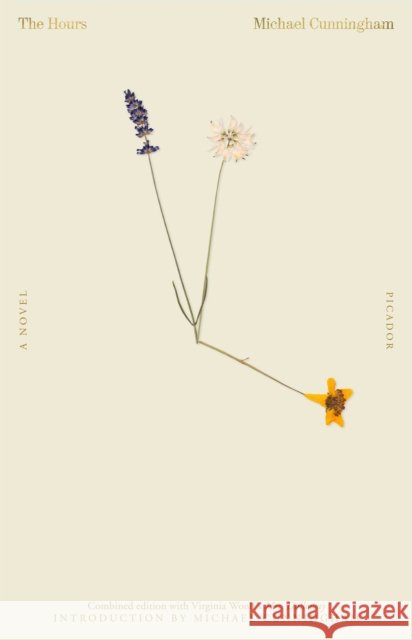 The Hours / Mrs. Dalloway Virginia Woolf 9781250852670 Picador - książka