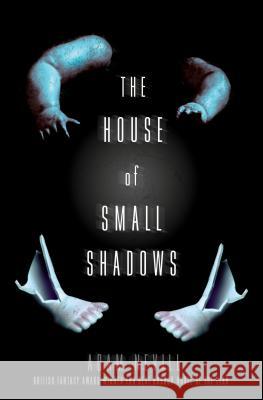 The House of Small Shadows Nevill, Adam 9781250068811 St. Martin's Griffin - książka