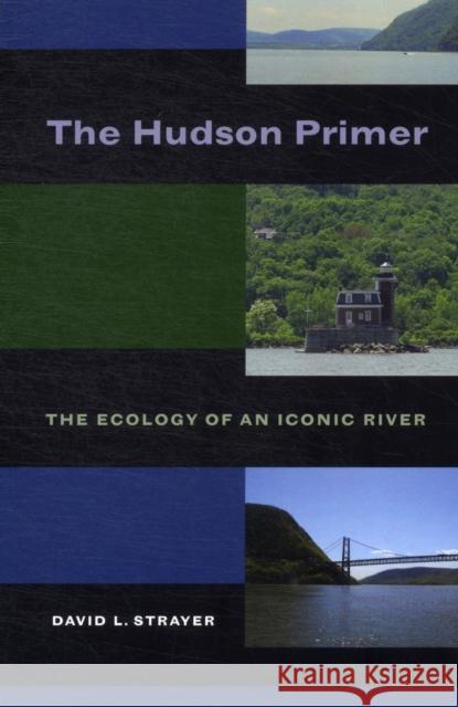 The Hudson Primer: The Ecology of an Iconic River Strayer, David L. 9780520269613 University Press Group Ltd - książka