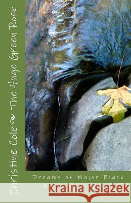 The Huge Green Rock Christine Cole 9781530137541 Createspace Independent Publishing Platform - książka