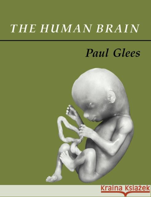 The Human Brain Paul Glees 9780521017817 Cambridge University Press - książka