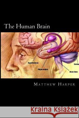 The Human Brain: A Fascinating Book Containing Human Brain Facts, Trivia, Images & Memory Recall Quiz: Suitable for Adults & Children Matthew Harper 9781497576032 Createspace - książka