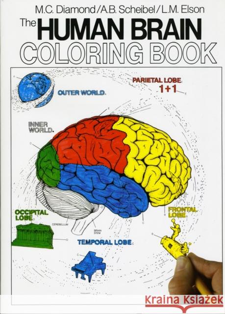 The Human Brain Coloring Book: A Coloring Book Arnold B Scheibel 9780064603065 HarperCollins Publishers Inc - książka