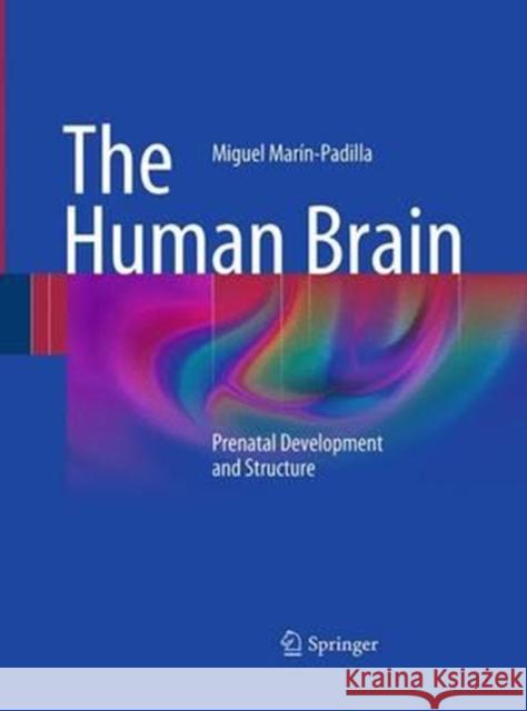 The Human Brain: Prenatal Development and Structure Marín-Padilla, Miguel 9783662519967 Springer - książka