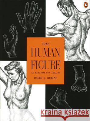 The Human Figure: An Anatomy for Artists David K. Rubins 9780140042436 Penguin Books - książka