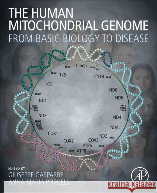 The Human Mitochondrial Genome: From Basic Biology to Disease Giuseppe Gasparre Anna Maria Porcelli 9780128196564 Academic Press - książka