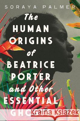 The Human Origins of Beatrice Porter and Other Essential Ghosts Soraya Palmer 9781646222186 Catapult - książka