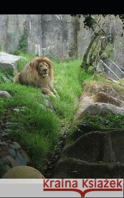 The Hunter and the Prey Raven Skyes 9781653026869 Independently Published - książka