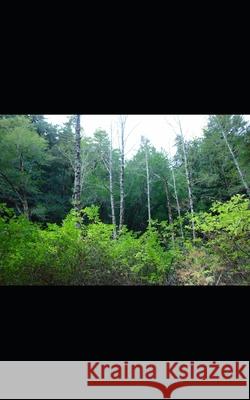 The Hunting Game Raven Skyes 9781729334416 Independently Published - książka