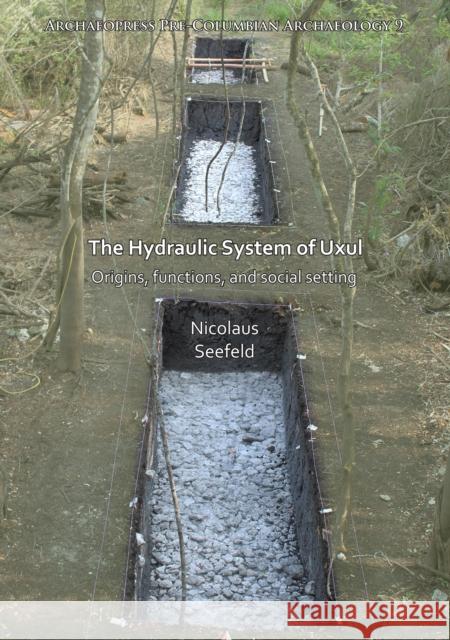 The Hydraulic System of Uxul: Origins, Functions, and Social Setting Nicolaus Seefeld 9781784919290 Archaeopress Archaeology - książka
