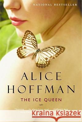 The Ice Queen Alice Hoffman 9780316154383 Back Bay Books - książka