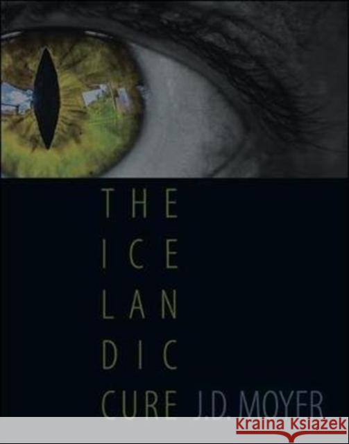 The Icelandic Cure J. D. Moyer 9781632430519 Omnidawn - książka