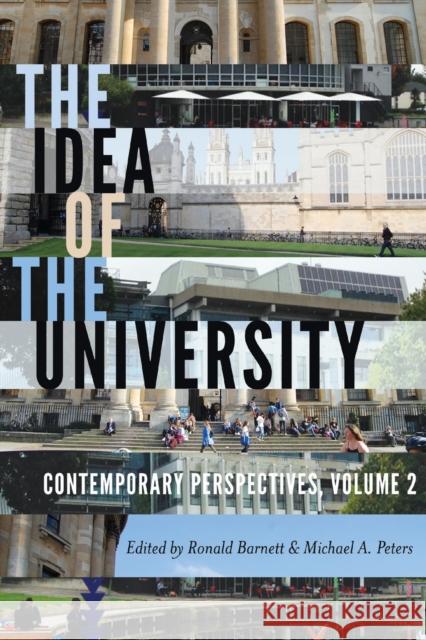 The Idea of the University: Contemporary Perspectives Besley 9781433149795 Peter Lang Publishing Inc - książka