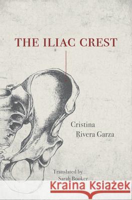 The Iliac Crest Sarah Booker Cristina River 9781558614352 Feminist Press - książka