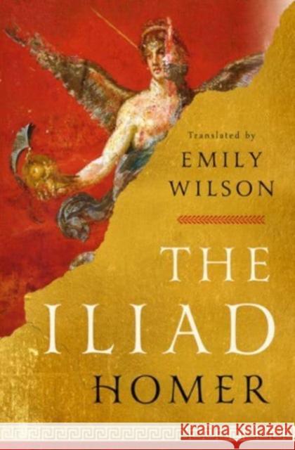 The Iliad Homer                                    Emily Wilson 9781324001805 WW Norton & Co - książka